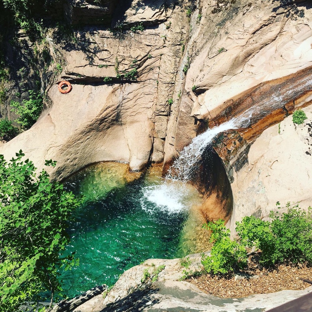 Meet your Posher, Sydney